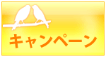 キャンペーン